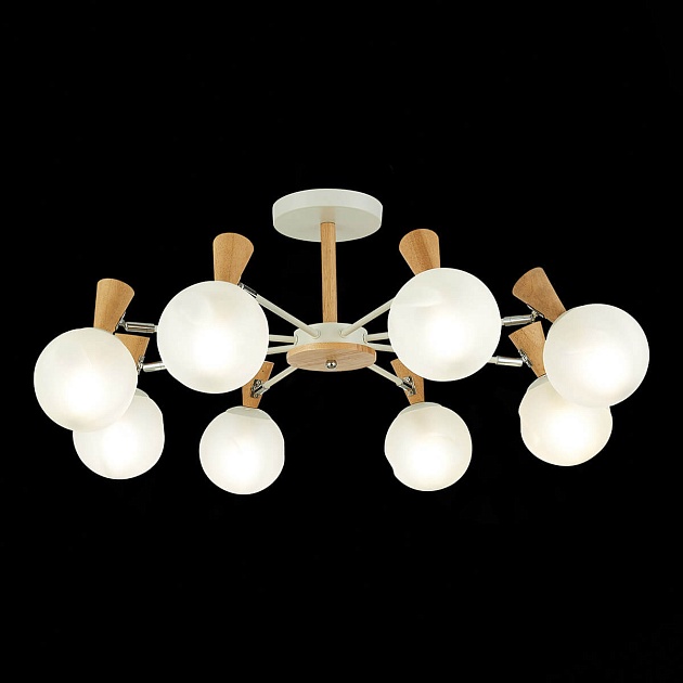 Потолочная люстра Evoluce Catania SLE220702-08 Фото № 4