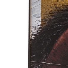 Картина Lumina Deco FP Horse 50-70 2