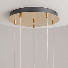 Подвесной светодиодный светильник Maytoni Modern Biology MOD367PL-L18BBSK 2