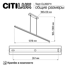 Подвесной светильник Citilux Trent CL203711 1