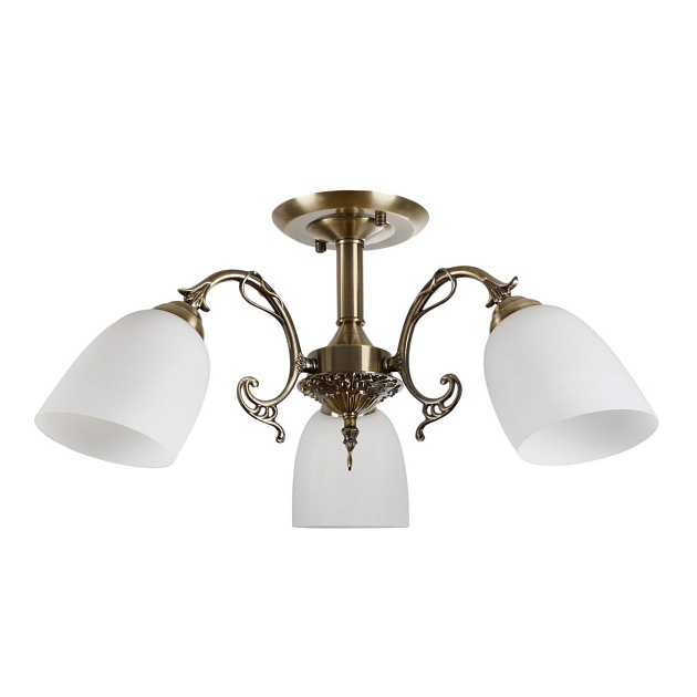 Потолочная люстра MyFar Ceiling Biene MR1522-3C Фото № 1