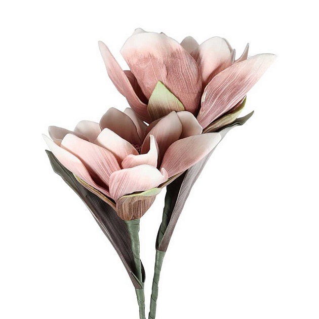 Искусственное растение Eglo MOLAVE 428114 Фото № 3