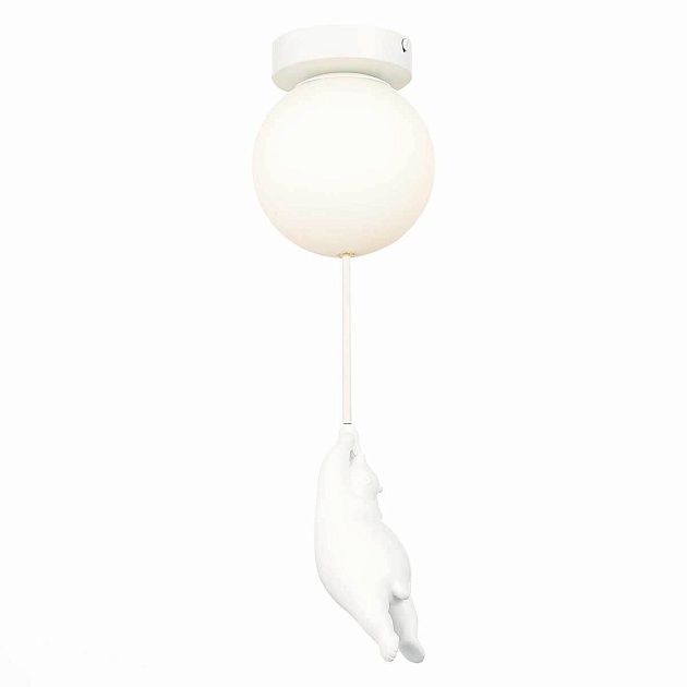 Потолочный светильник Evoluce MODENA SLE115402-01 Фото № 1