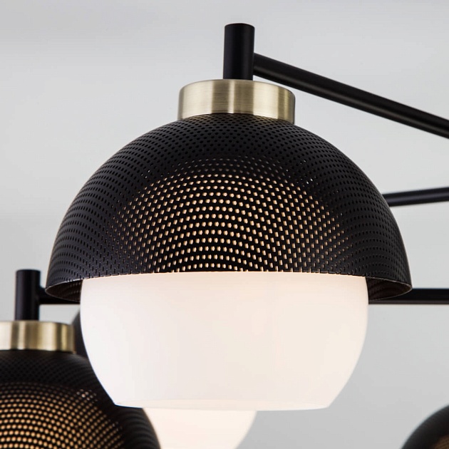 Потолочная люстра Eurosvet 70106/6 черный Фото № 4