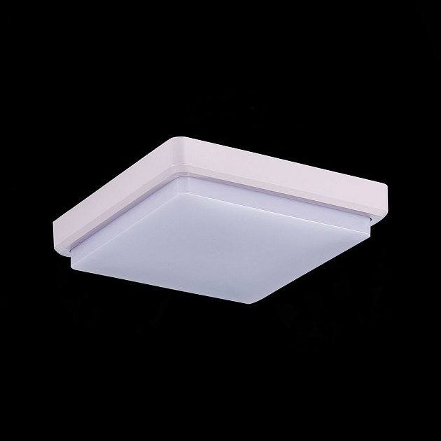 Потолочный светодиодный светильник Evoluce Taddio SLE200212-01 Фото № 3