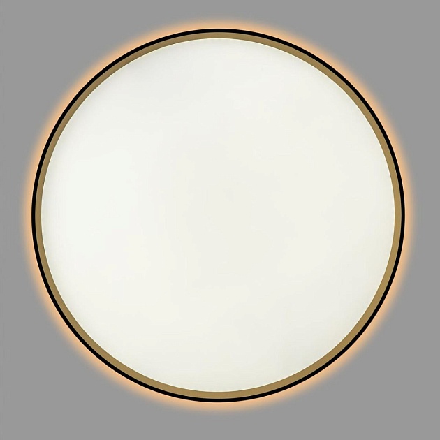 Светильник с пультом Citilux ETALON CL750501R Фото № 8