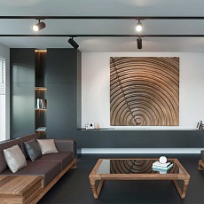 Трековый светильник однофазный двухжильный Novotech SELENE 359149 1