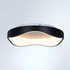 Потолочный светодиодный светильник Arte Lamp Ankaa A3085PL-48BK 3