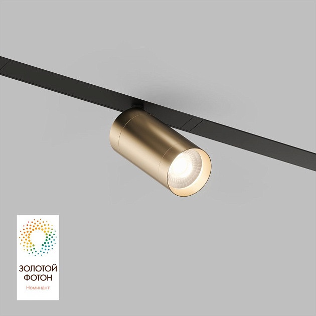 Трековый светодиодный светильник Denkirs Smart Spot DK8010-BG Фото № 1