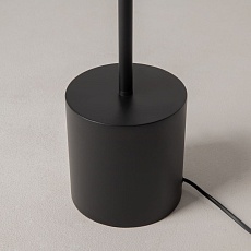 Торшер Maytoni Modern Evolution MOD396FL-L10W3K 2