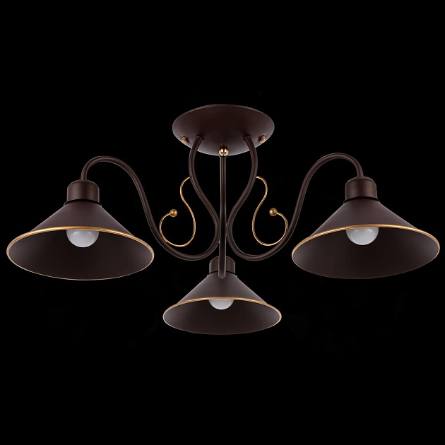 Потолочная люстра Evoluce Ciolla SLE120402-03 Фото № 5