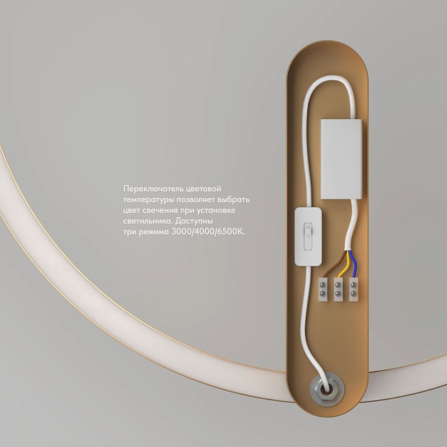 Настенный светодиодный светильник Denkirs Round DK5035-SG изображение 2 Настенный светодиодный светильник Denkirs Round DK5035-SG Фото № 2