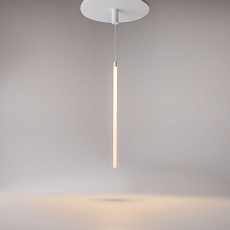 Подвесной светильник Maytoni Ray P022PL-L20W3K 4