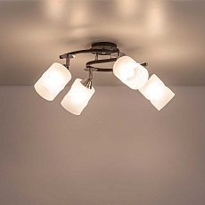 Потолочная люстра Citilux Сиерра CL119241 5