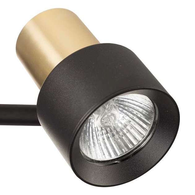 Спот поворотный Citilux SAT CL505621 Фото № 7