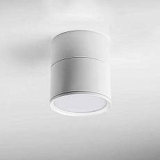 Накладной светодиодный светильник Lightstar Acuto 215886 4