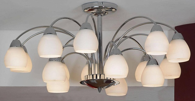 Потолочная люстра Lussole Apiro LSF-2403-15 Фото № 2