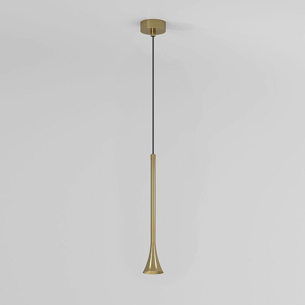 Подвесной светодиодный светильник Elektrostandard Hall 50314 LED a068821 Фото № 4