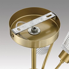 Светильник потолочный Lumion IMANA 8154/6C 3