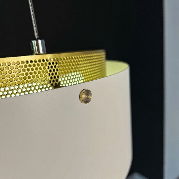 Подвесной светодиодный светильник Imperium Loft Casing 189561-26 Фото № 6