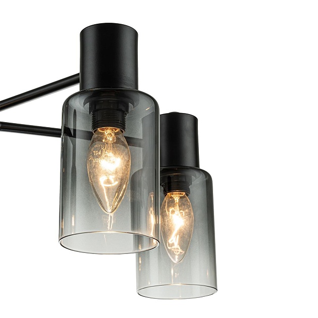 Потолочная люстра Escada Diversity 2120/5P Black изображение 4 Потолочная люстра Escada Diversity 2120/5P Black Фото № 4