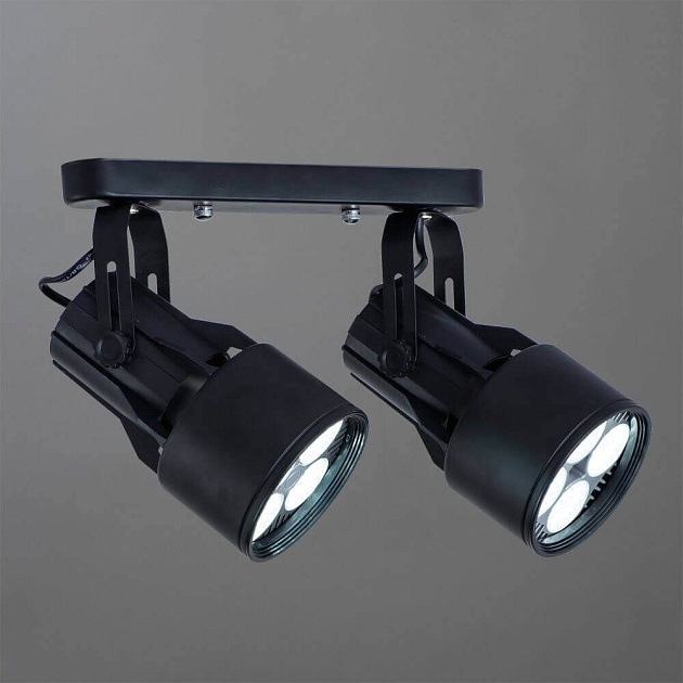 Спот Arte Lamp A6252PL-2BK Фото № 3