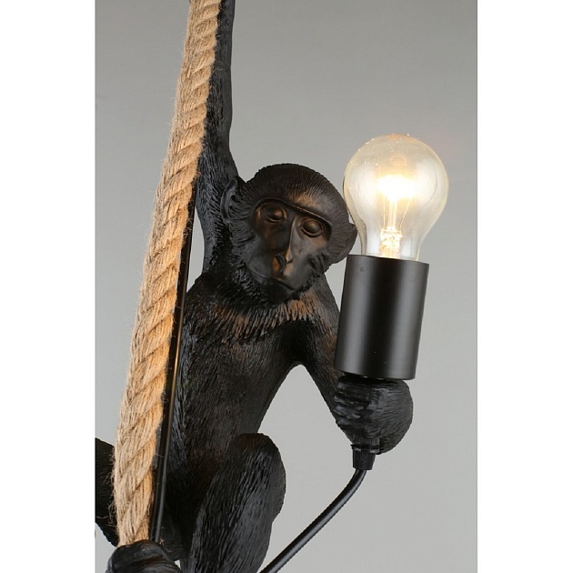 Подвесной светильник Aployt Magali APL.309.16.01 изображение 6 Подвесной светильник Aployt Magali APL.309.16.01 Фото № 6