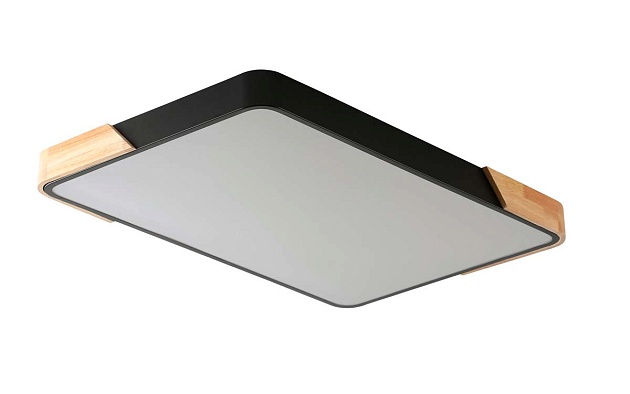 Потолочный светильник Zortes ALBERRO ZRS.01233.60 Фото № 3