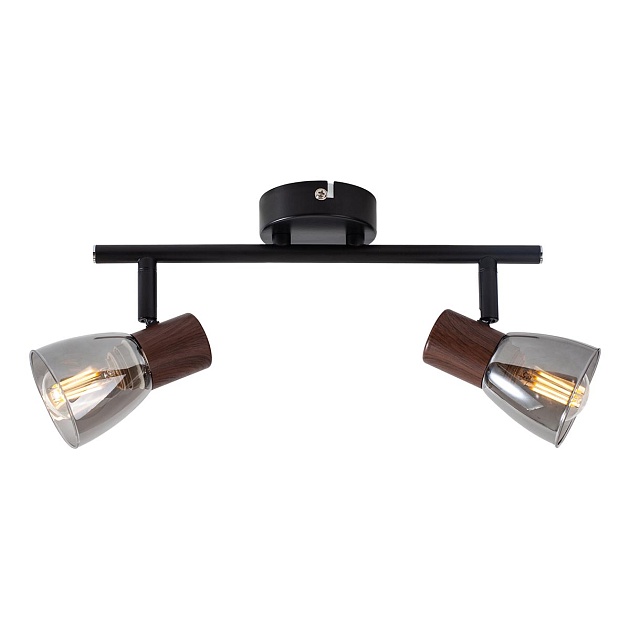 Спот Toplight Lavinia TL1233Y-02BB Фото № 1