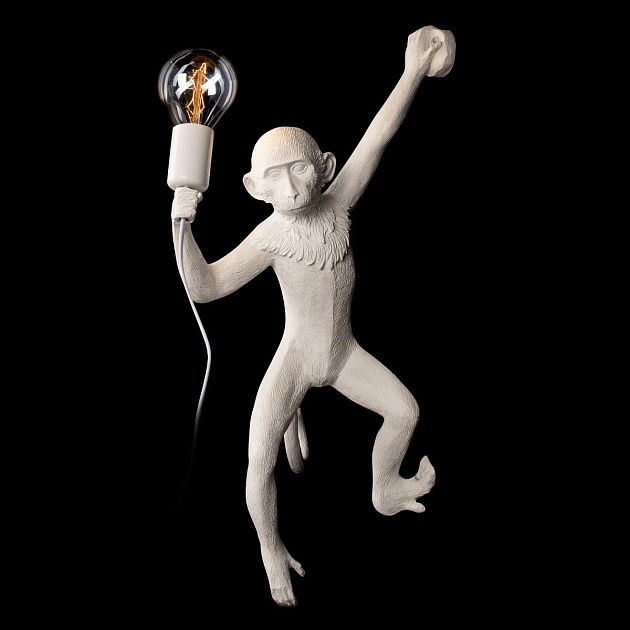 Настенный светильник Loft IT Monkey 10314W/A Фото № 2