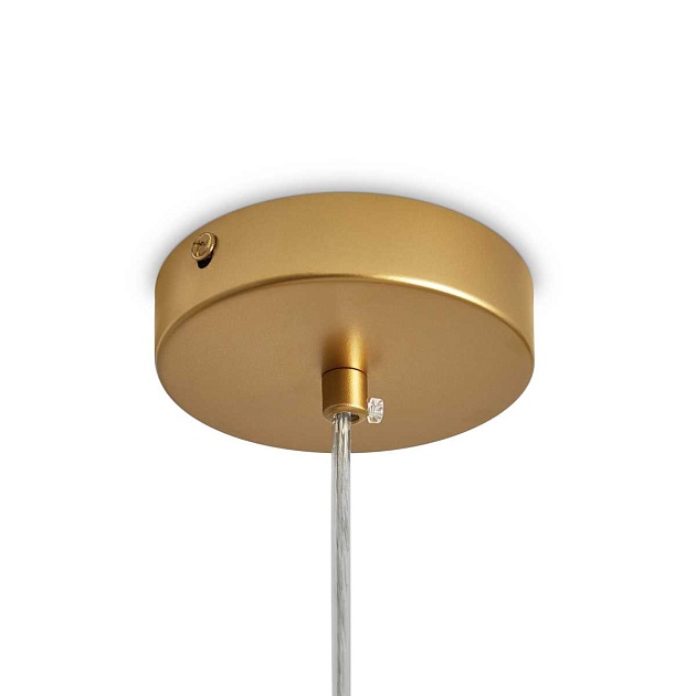 Подвесной светильник Freya Modern FR5528PL-01BS Фото № 8