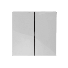 Выключатель двухклавишный ЭРА Elegance 10AX 250V 14-1104-01 Б0034229 1