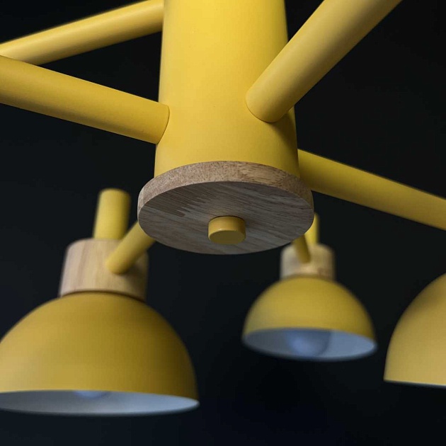 Подвесная люстра Imperium Loft Fanta 101568-26 Фото № 13