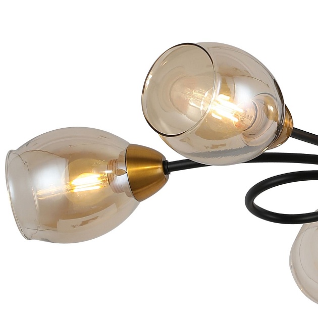 Потолочная люстра Illumico IL8263-6COU-79 BK GD изображение 2 Потолочная люстра Illumico IL8263-6COU-79 BK GD Фото № 2