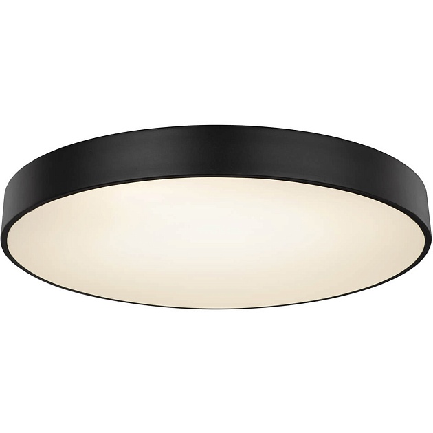 Потолочный светодиодный светильник Globo Wiss 41744-48S Фото № 1