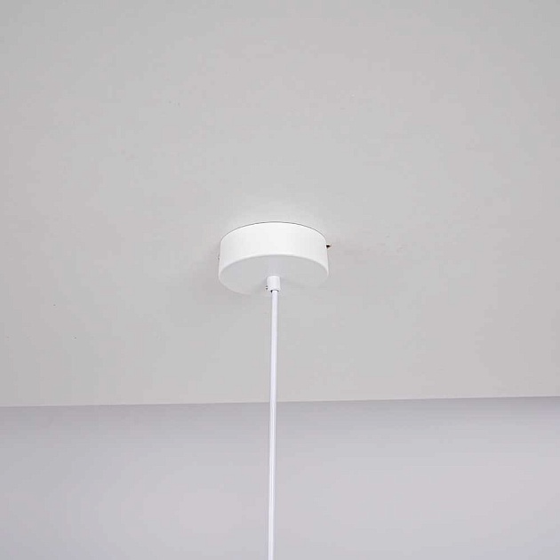 Подвесной светильник Imperium Loft Sota 178039-26 изображение 2 Подвесной светильник Imperium Loft Sota 178039-26 Фото № 2