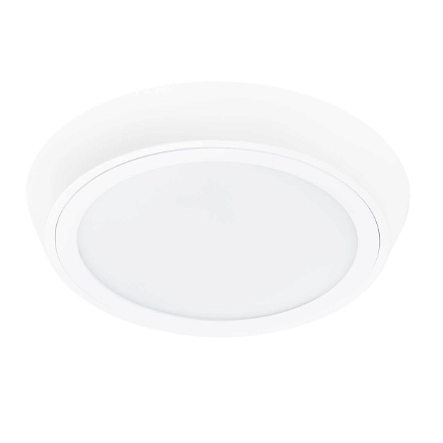 Потолочный светодиодный светильник Lightstar Urbano 216904 изображение 1 Потолочный светодиодный светильник Lightstar Urbano 216904 Фото № 1