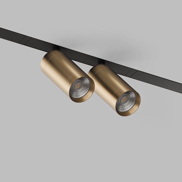 Трековый светодиодный светильник Denkirs Smart Spot DK8012-BG Фото № 5