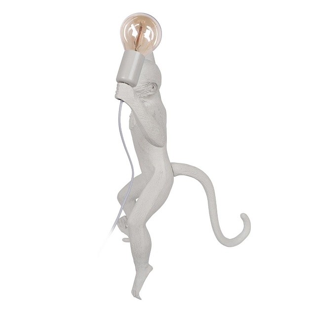 Настенный светильник Loft IT Monkey 10314W/B Фото № 3