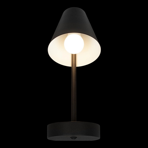 Бра Loft IT Shelf 10216/1W Black изображение 2 Бра Loft IT Shelf 10216/1W Black Фото № 2