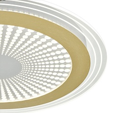 Потолочный светодиодный светильник Sonex Mitra Promise 7738/80L 4