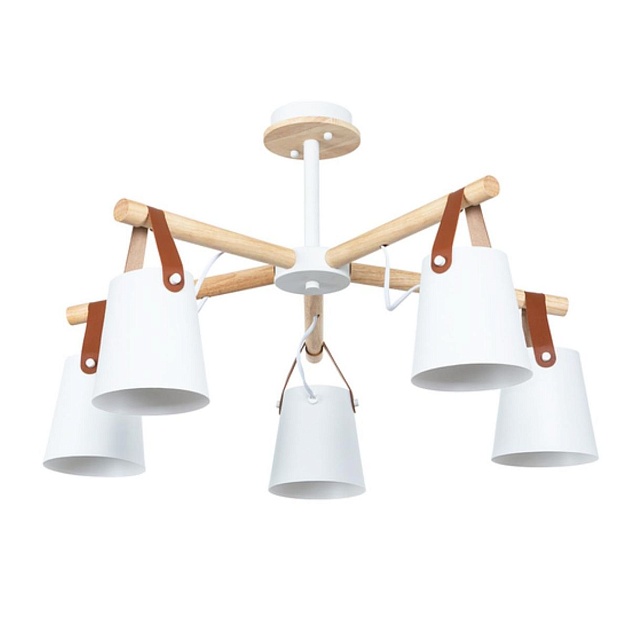 Потолочная люстра Arte Lamp Thomas A7032PL-5WH Фото № 1