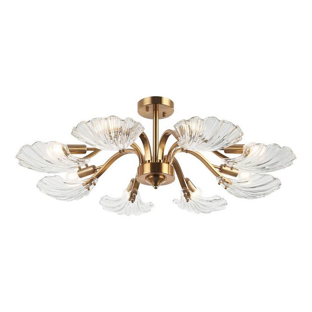 Потолочная люстра Stilfort Muschel 2153/05/08P изображение 1 Потолочная люстра Stilfort Muschel 2153/05/08P Фото № 1