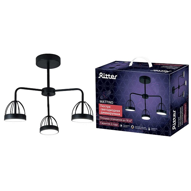 Потолочная люстра Ritter MATTINO 51593 1 изображение 1 Потолочная люстра Ritter MATTINO 51593 1 Фото № 1