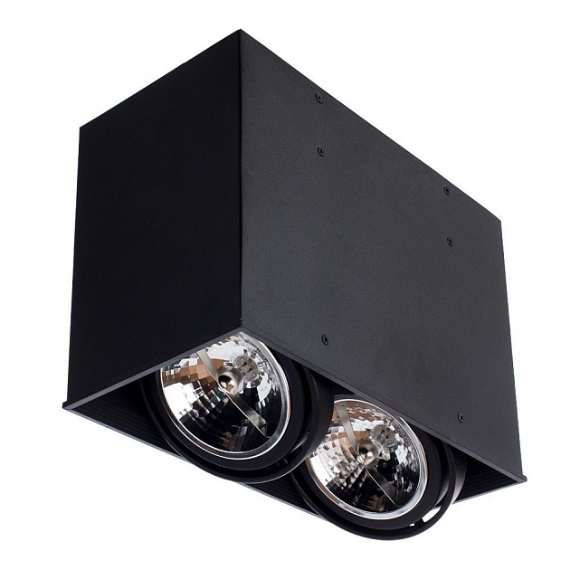 Потолочный светильник Arte Lamp Cardani A5936PL-2BK Фото № 3
