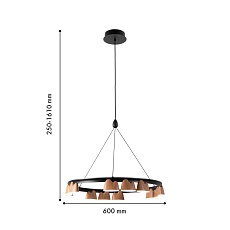 Подвесная светодиодная люстра Favourite Interline 4266-12P 1