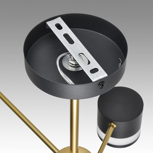 Потолочная люстра Lumion Comfi Lanika 8240/6C Фото № 3