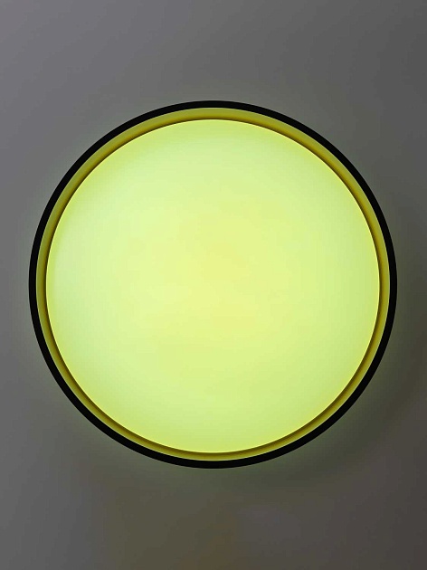 Светильник потолочный Citilux ENZO CL753451G Фото № 11