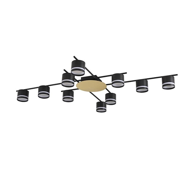 Светильник потолочный Lumion BENUA 8304/10C Фото № 1