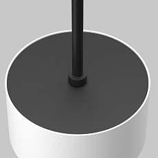 Подвесной светильник Maytoni Technical P102PL-12W4K-W 2